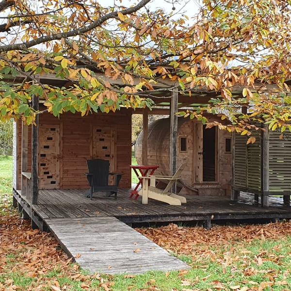 Don Quixote Rest Cabins - Ranco