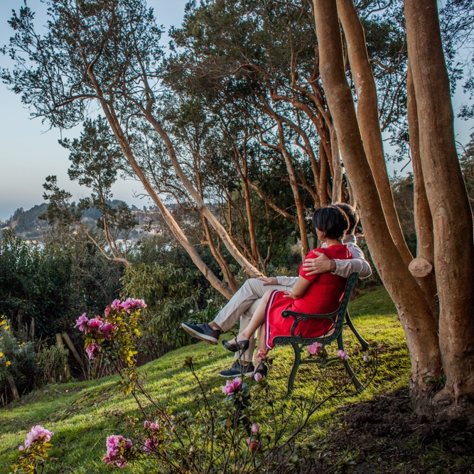 Hotel Elun - Frutillar