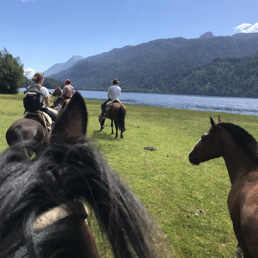 Cabalgata a Cayutué - Servicio premium