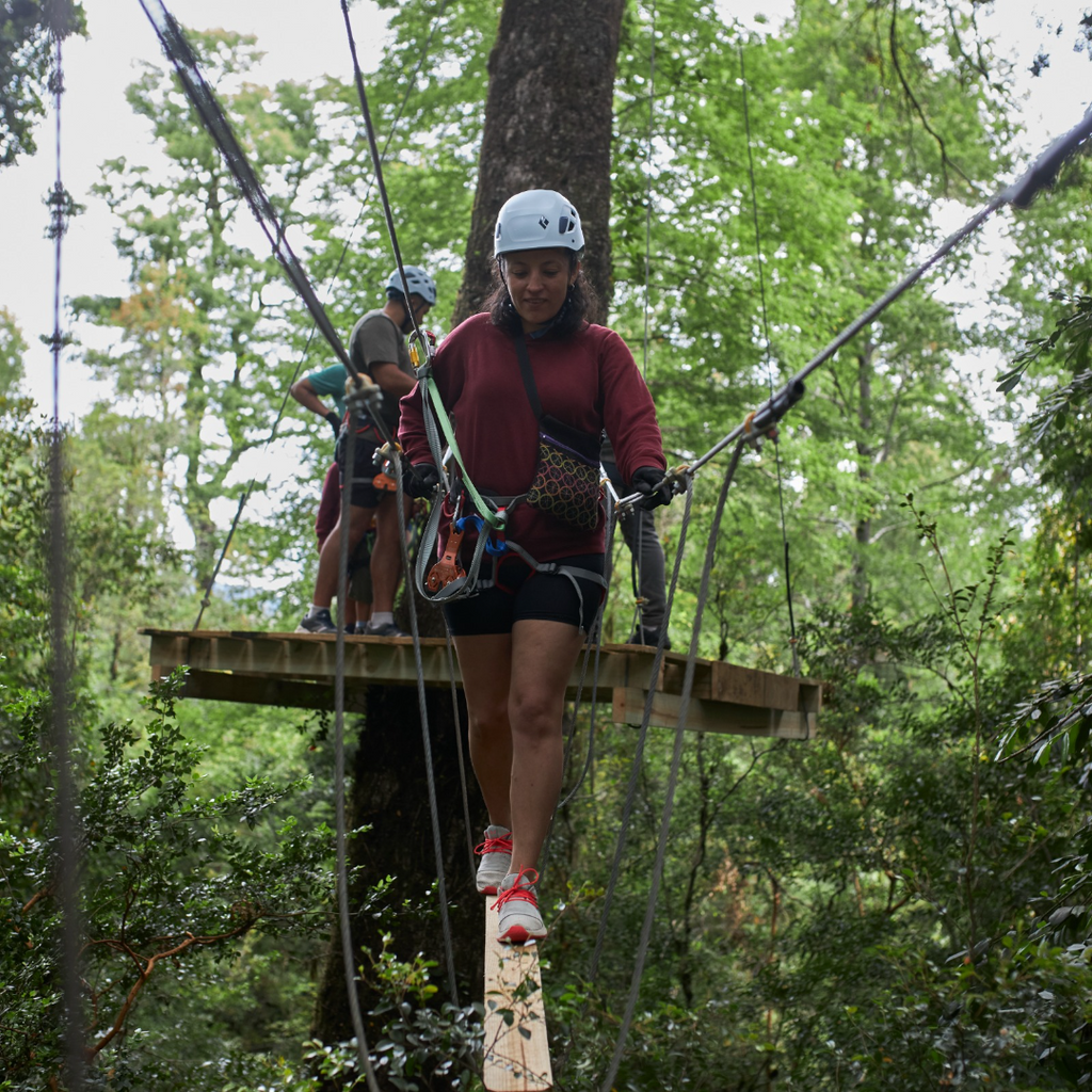Pack Canopy y Arborismo en Parque Neltume