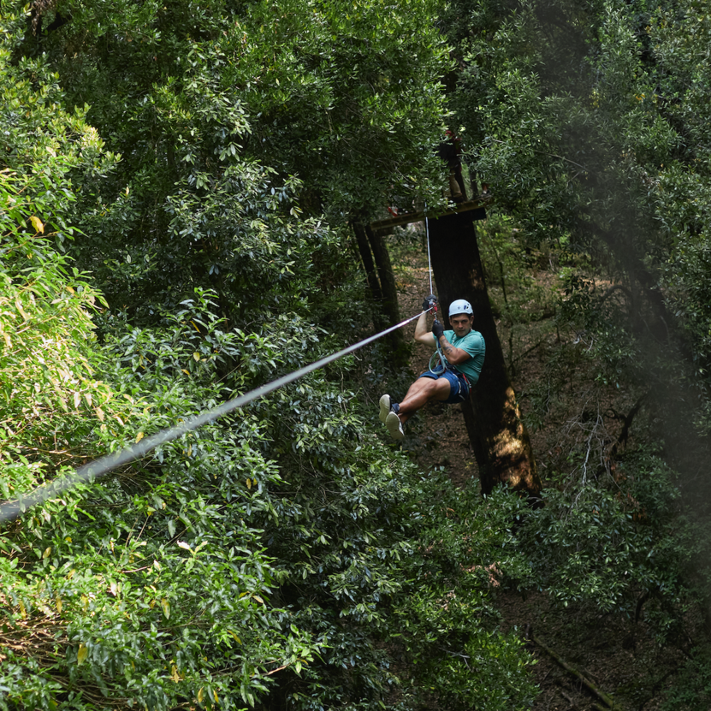 Pack Canopy y Arborismo en Parque Neltume