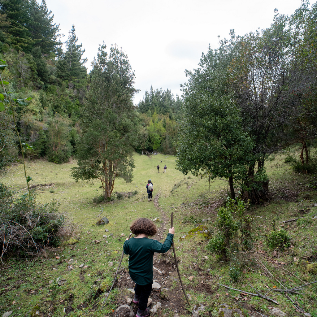 Sendero Playa del Illi , Excursión familiar - Mínimo 2 personas