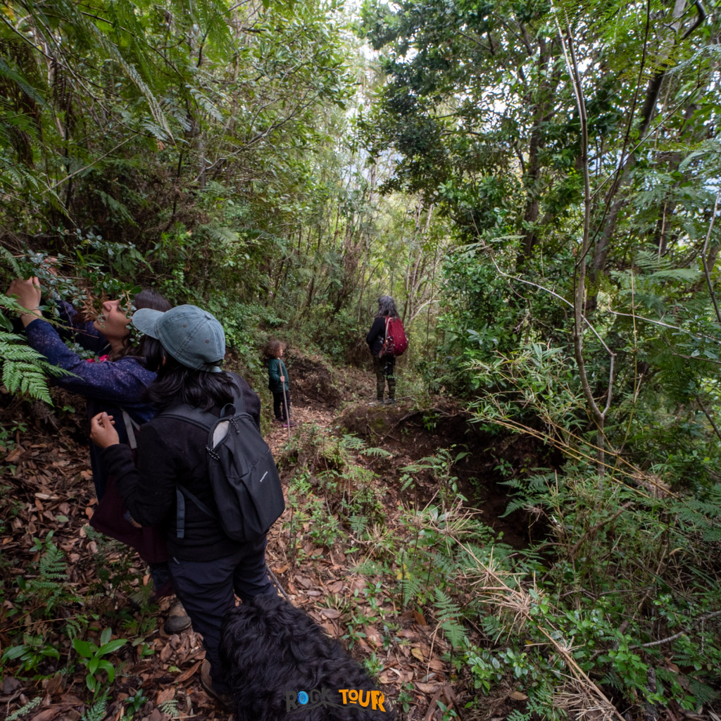 Sendero Playa del Illi , Excursión familiar - Mínimo 2 personas