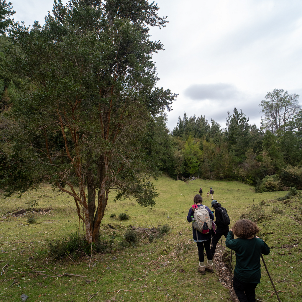 Sendero Playa del Illi , Excursión familiar - Mínimo 2 personas