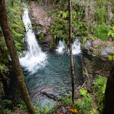 Riñinahue Valley: Ojos del Huishue Waterfall - Excursion by vehicle