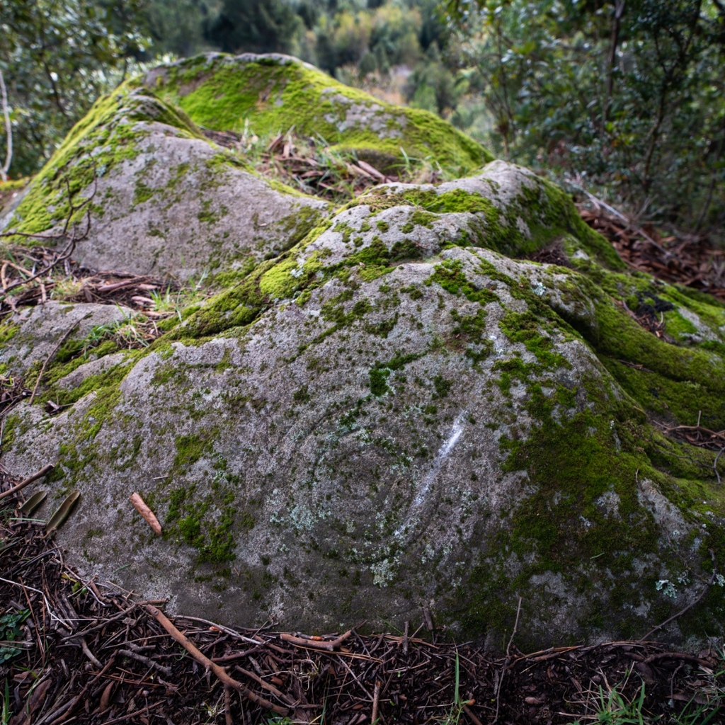 Ruta Piedra Disco - Mínimo 2 personas