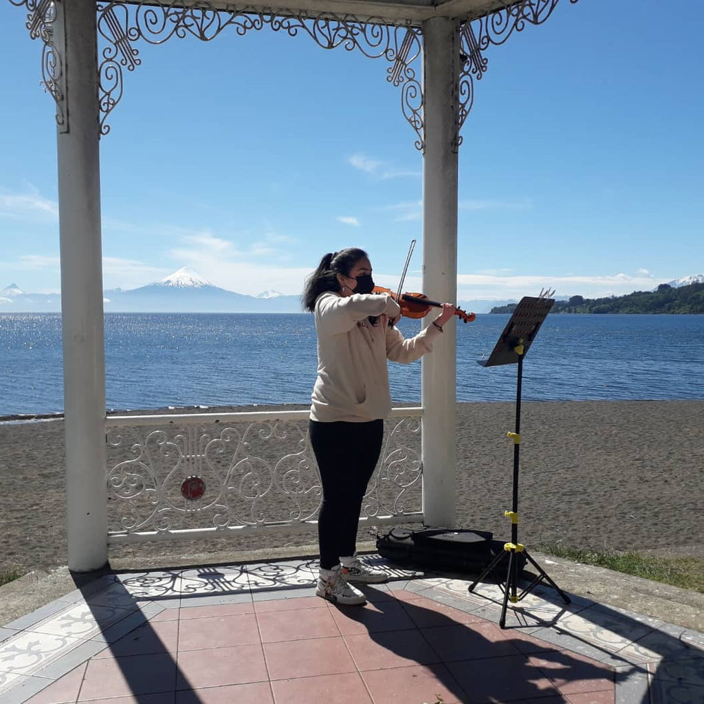 Guided cultural walk in Frutillar